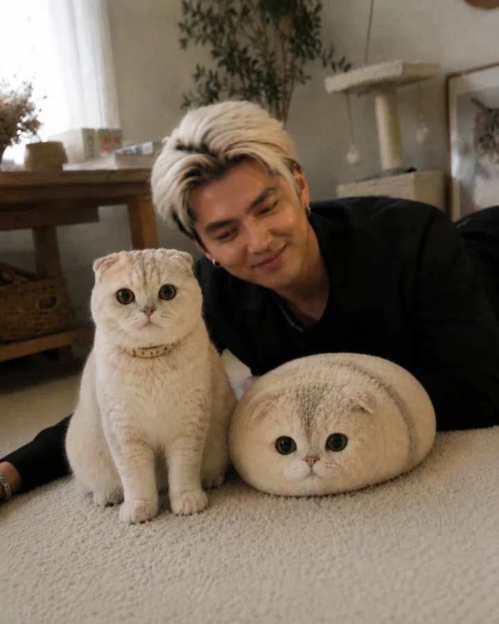 A happy customer with their scottish fold cat and its lookalike Fluffi plushie